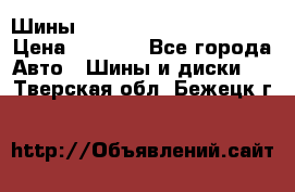 Шины bridgestone potenza s 2 › Цена ­ 3 000 - Все города Авто » Шины и диски   . Тверская обл.,Бежецк г.